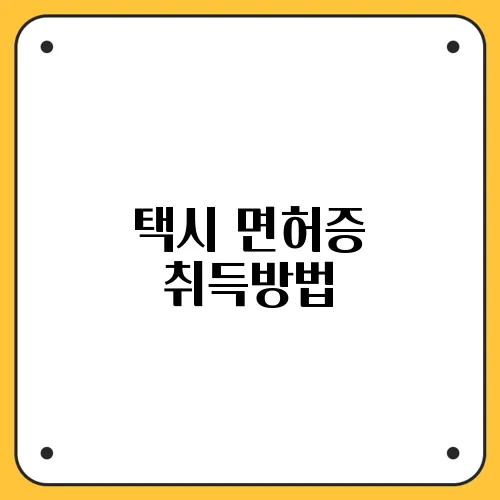 택시 면허증 취득방법