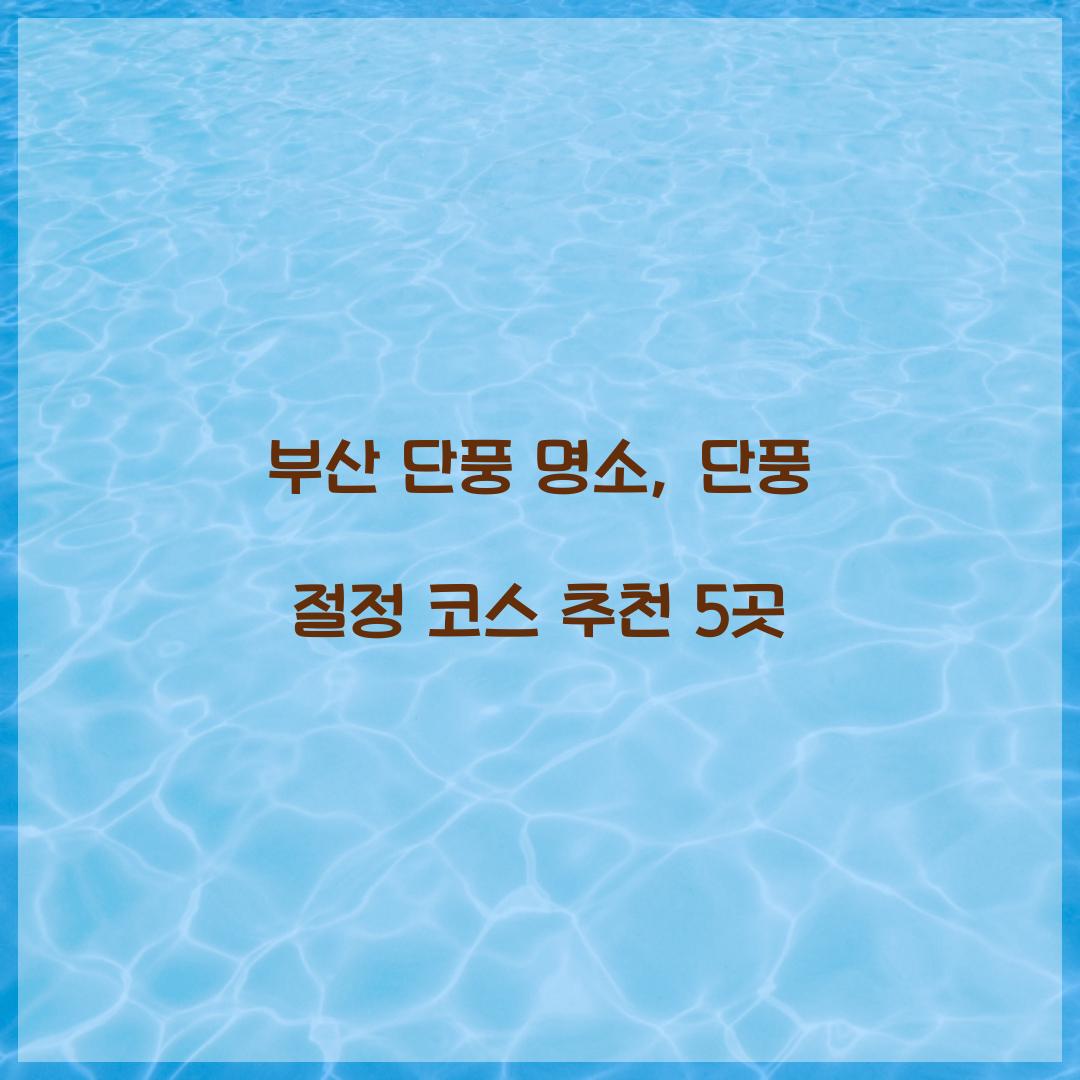 부산 단풍 명소