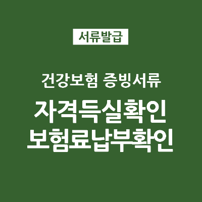 건강보험 증빙서류 자격득실확안서 건강보험납부확인서 발급방법