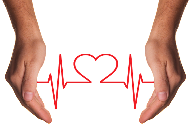 60대 지방간 관련 사진