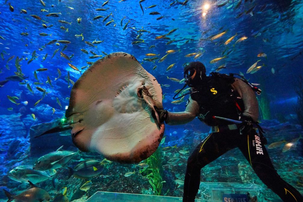 씨라이프부산아쿠아리움