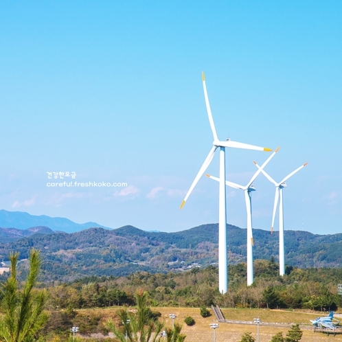 영덕 가볼만한곳