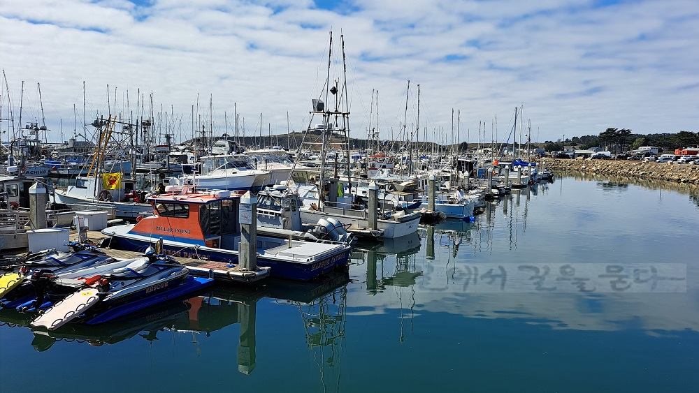 Pillar Point Harbor
