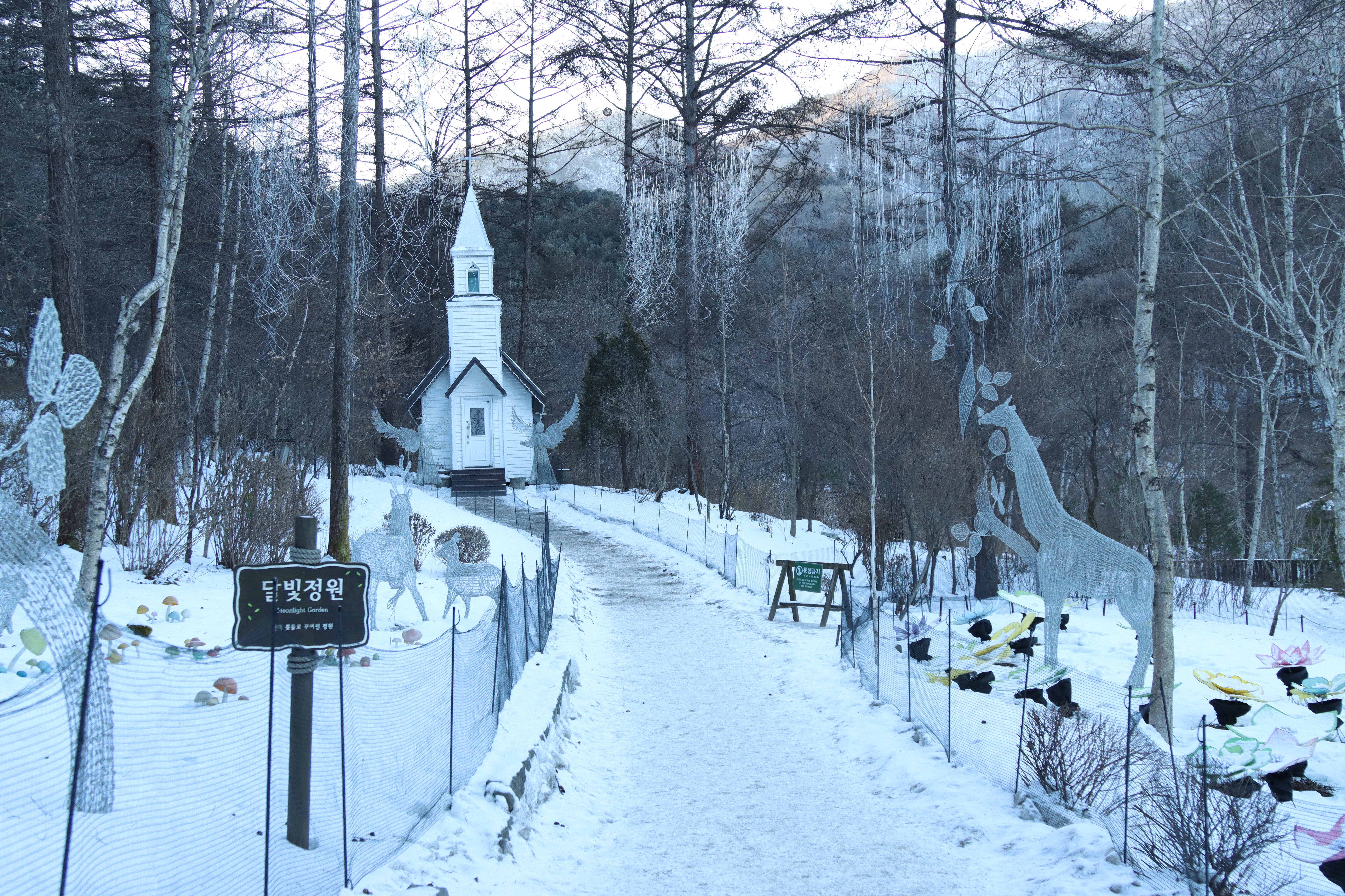 아침고요수목원