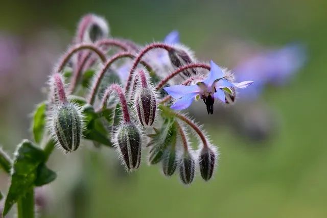쿠쿠 정수기 코크살균 방법 및 위생관리 가이드_3