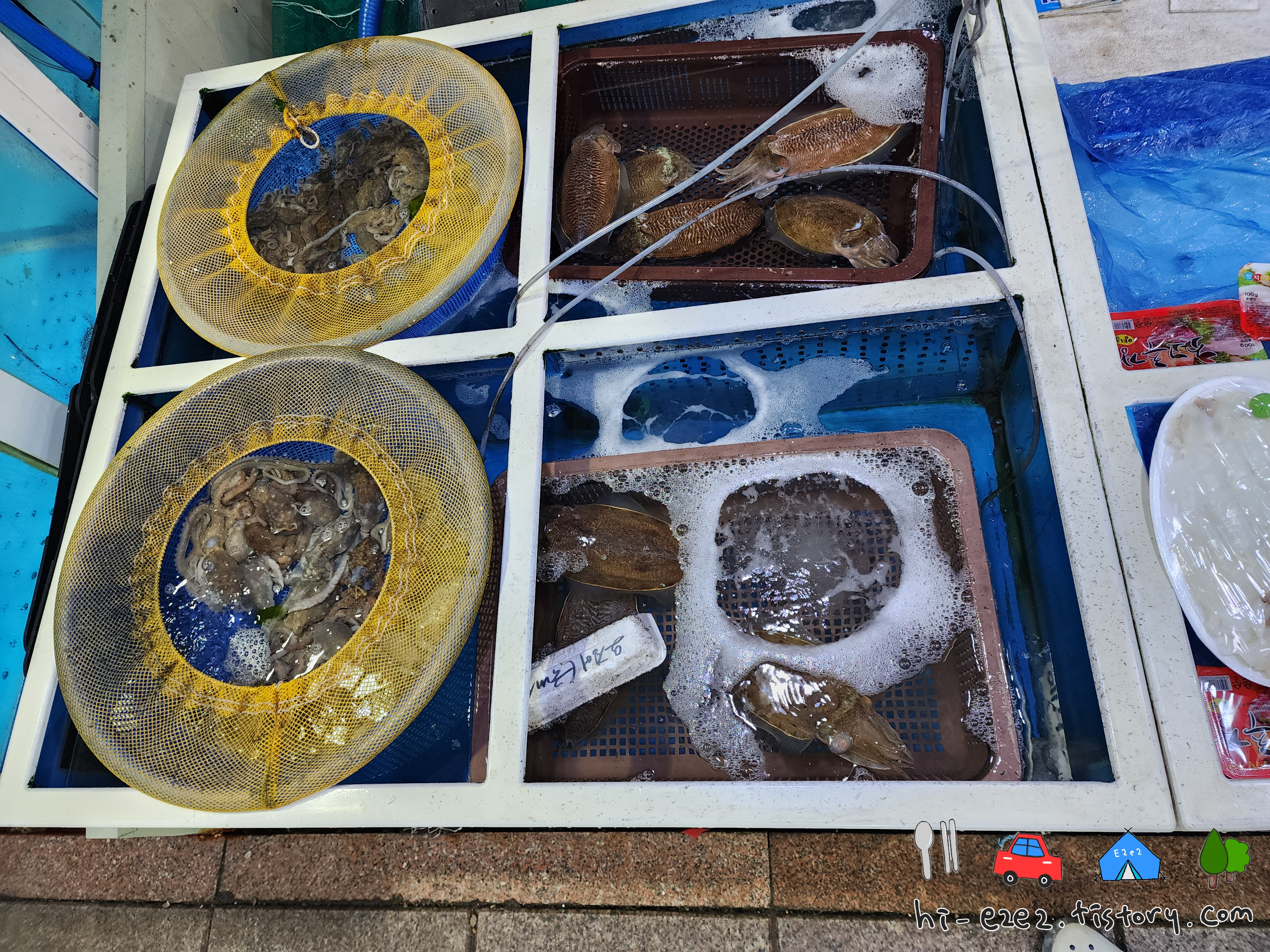 청호시장_회포장