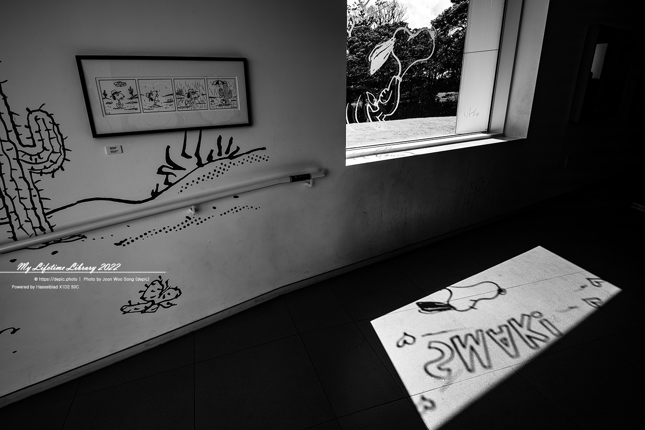 #제주 #스누피가든 #스누피 #2022제주여행