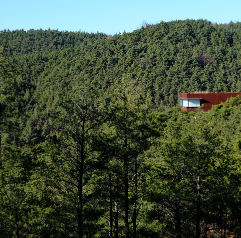 대구 군위 사유원 관람 예약