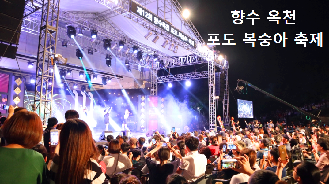 향수 옥천 포도 복숭아축제