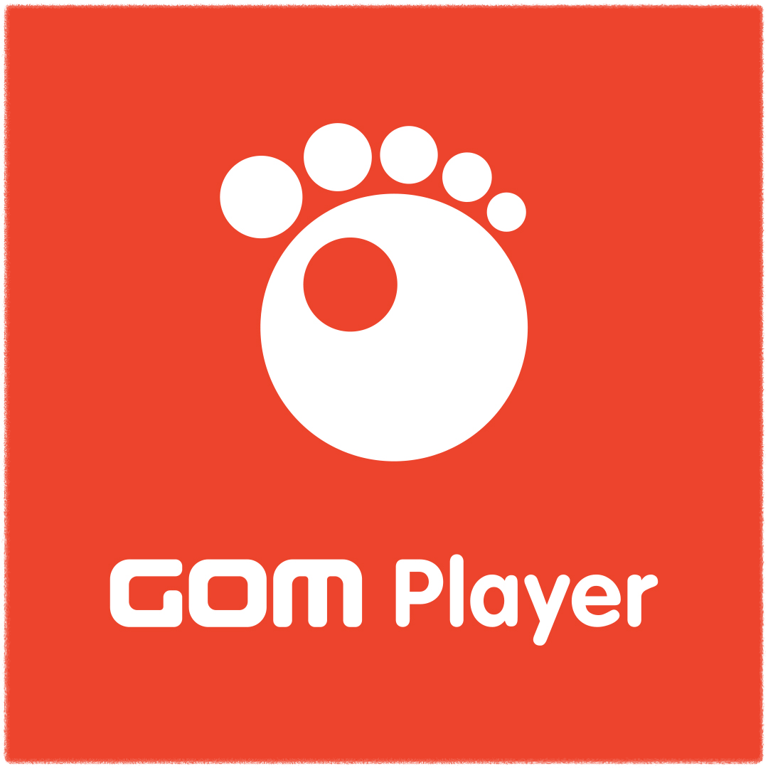 곰플레이어 다양한 포맷 지원 안내