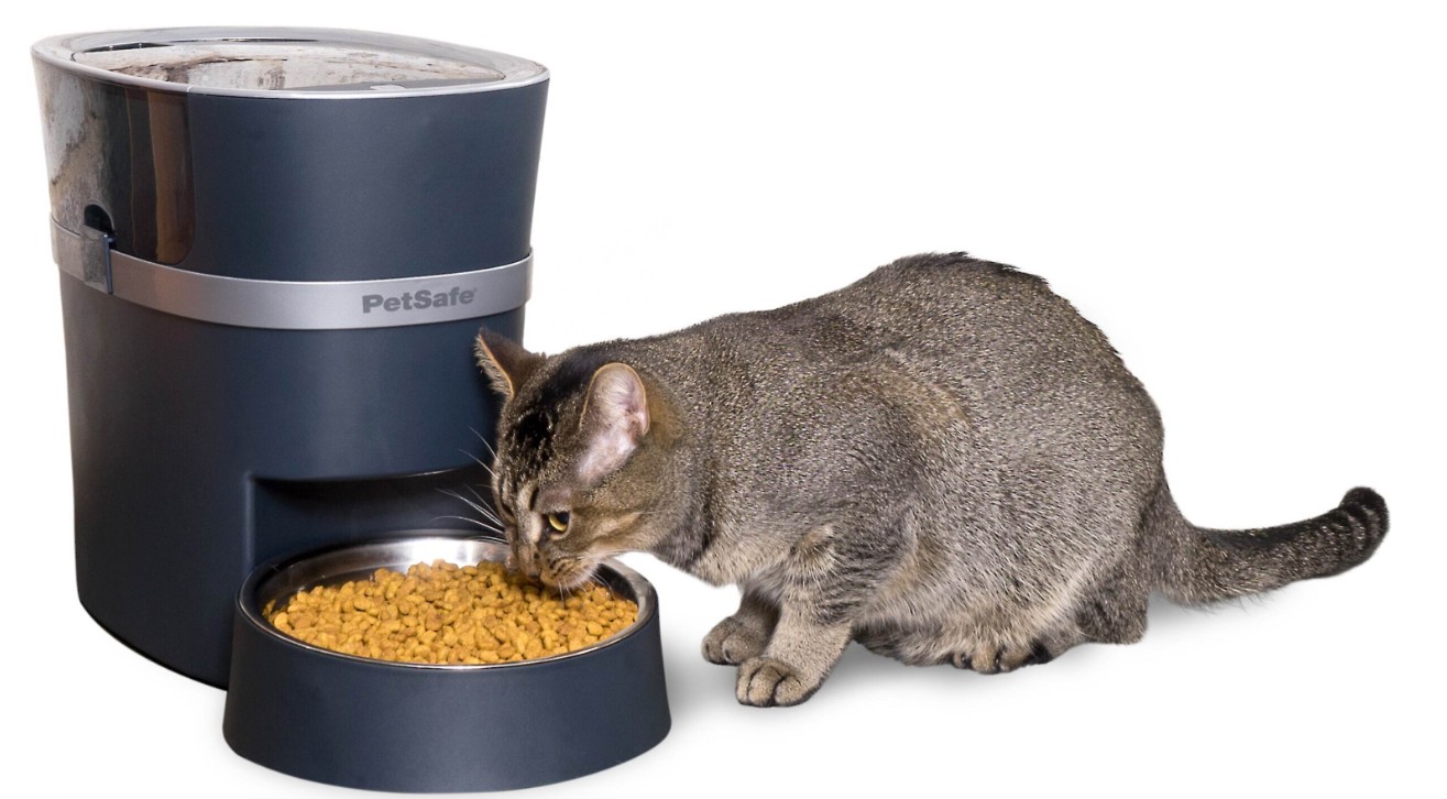 2025년 추천! 반려동물을 위한 스마트기기 리뷰