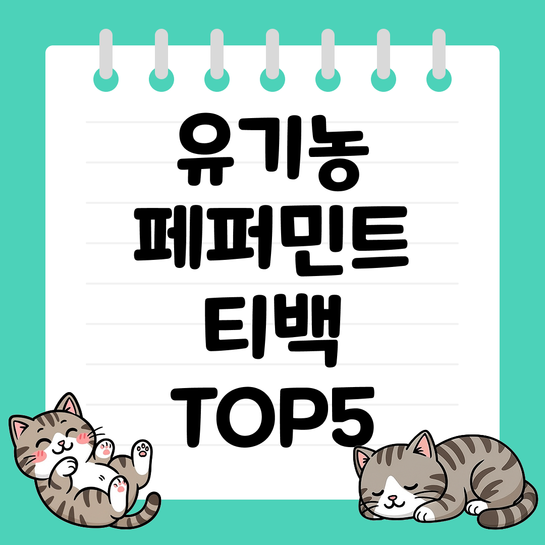 소화에 도움을 주는 유기농 페퍼민트 티백 추천 TOP5