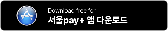 서울페이 앱 설치
