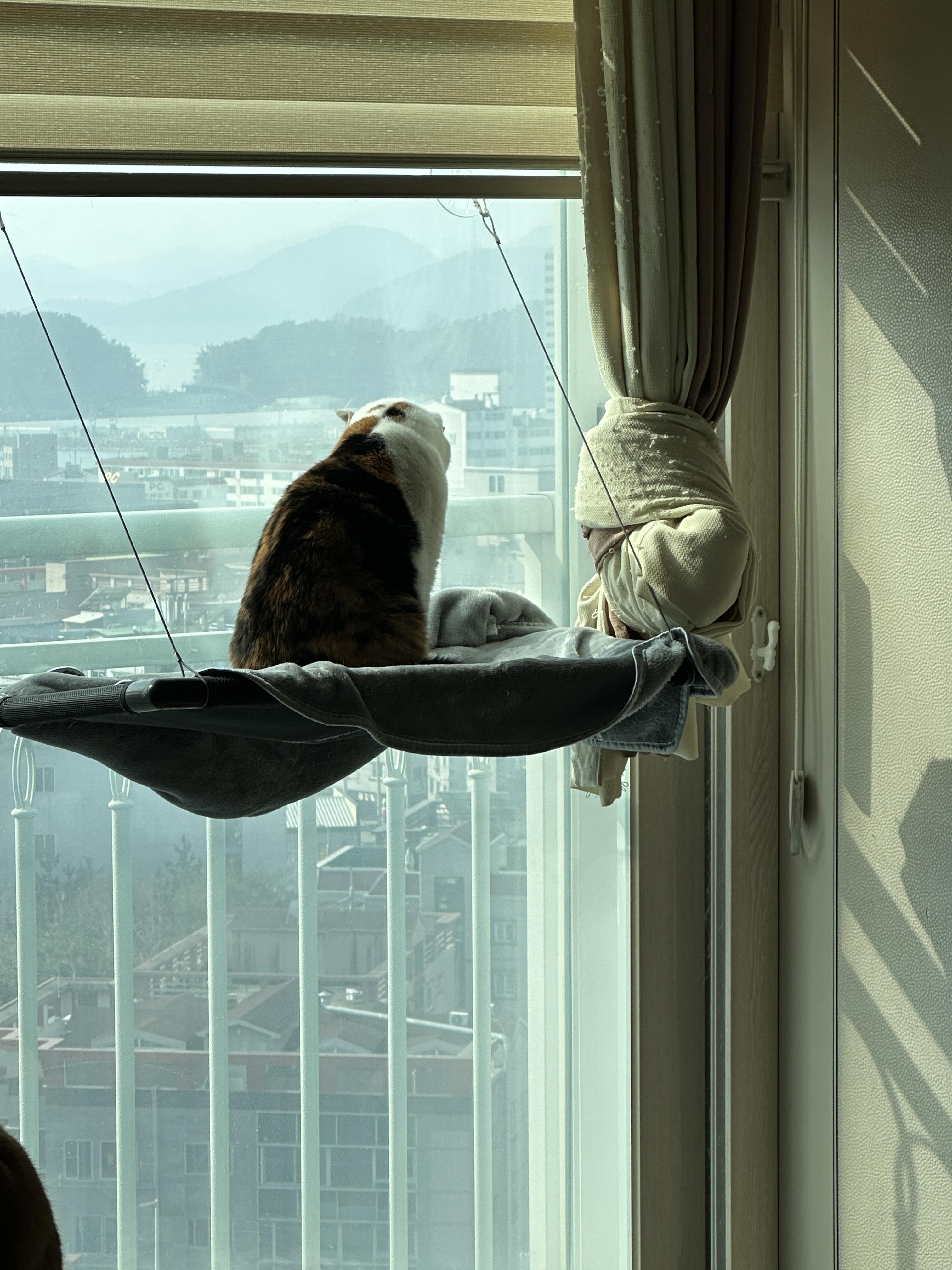 사다리차야 반가워 (feat.사다리차에 눈길을 빼앗긴 요미)