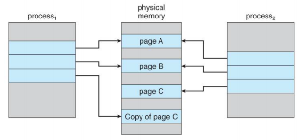 OS COW2