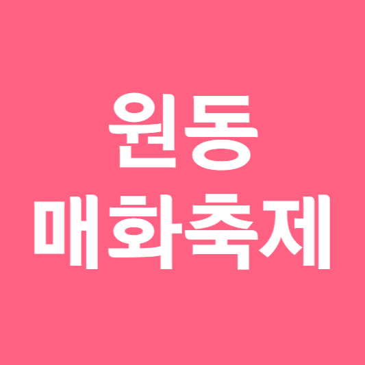 원동 매화축제