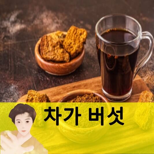 차가버섯