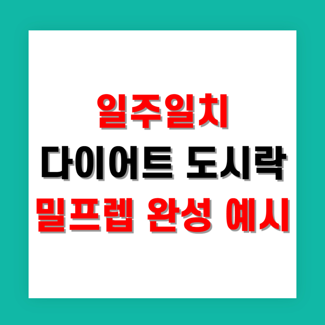 일주일치 다이어트 도시락 밀프렙 완성 예시