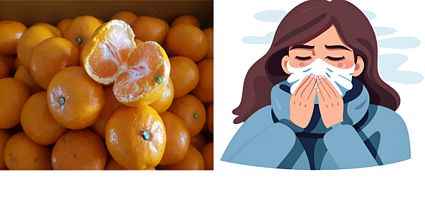 귤의 효능_감기예방