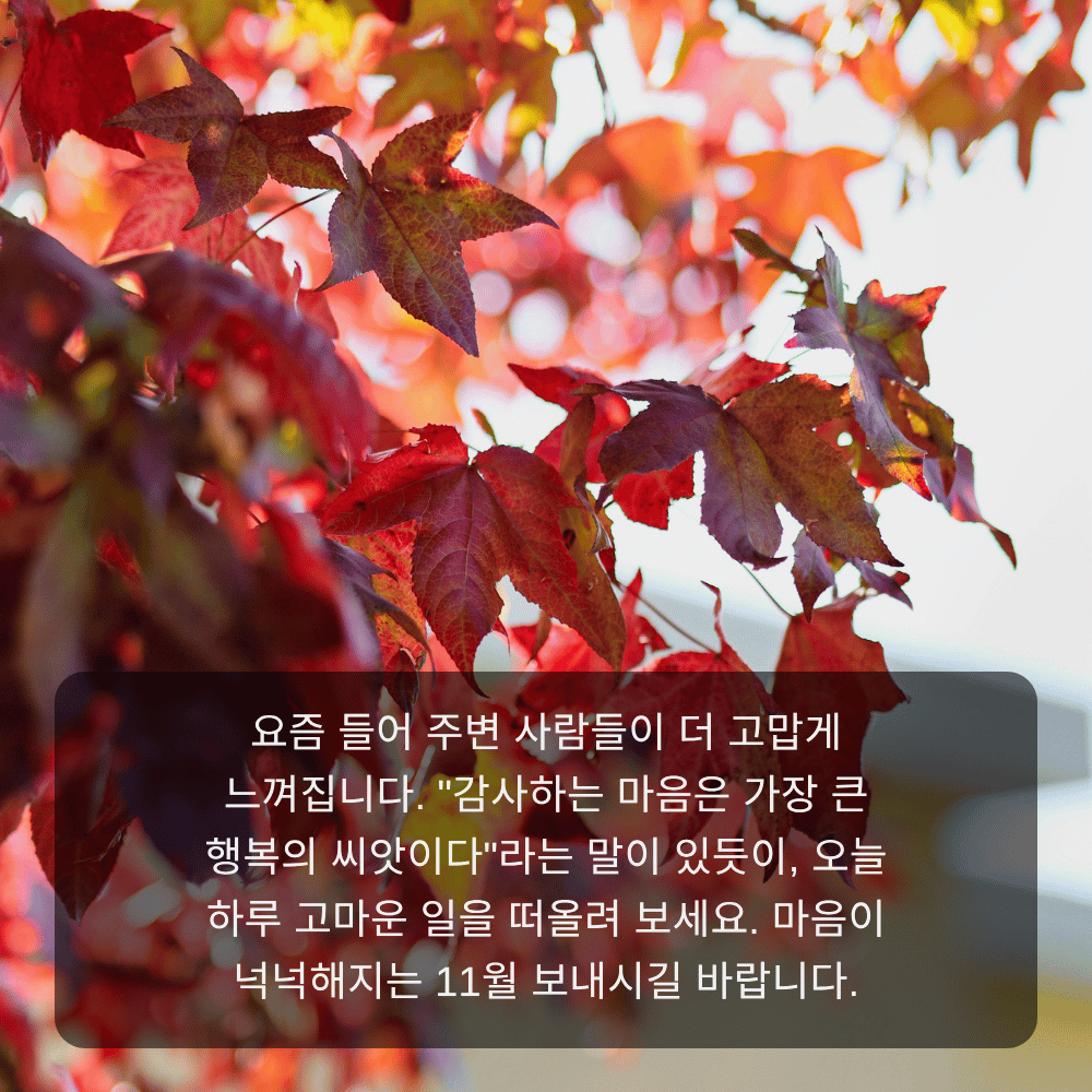 11월 인사말 이미지 14 - 감사하는 마음은 가장 큰 행복의 씨앗이다, 감사 인사