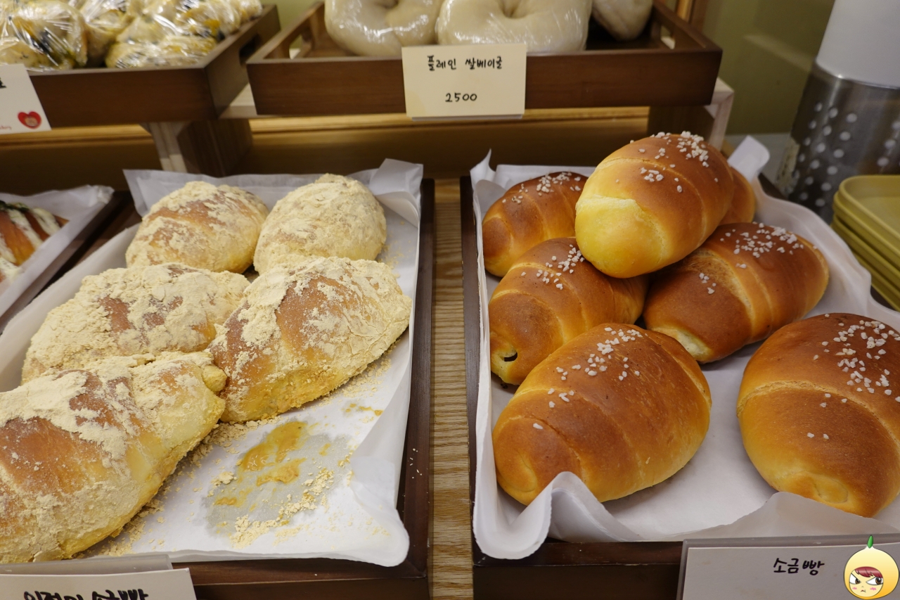 인절미 &amp; 플레인 소금빵