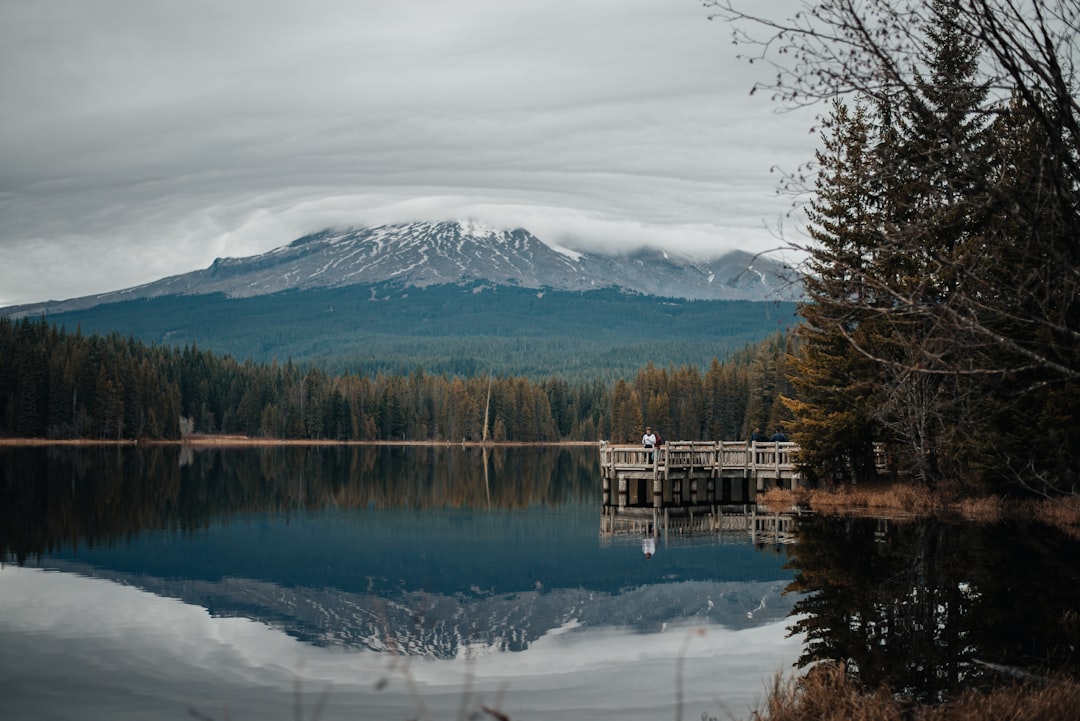 Outlook