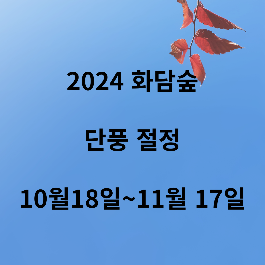 2024 화담숲 가을 단풍