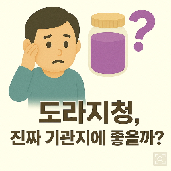 도라지청, 진짜 기관지에 좋을까?/gpt