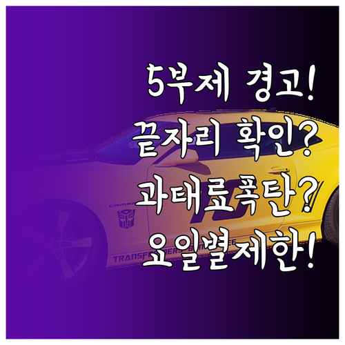 차량 5부제 운행 제한 요일 끝자리 ..