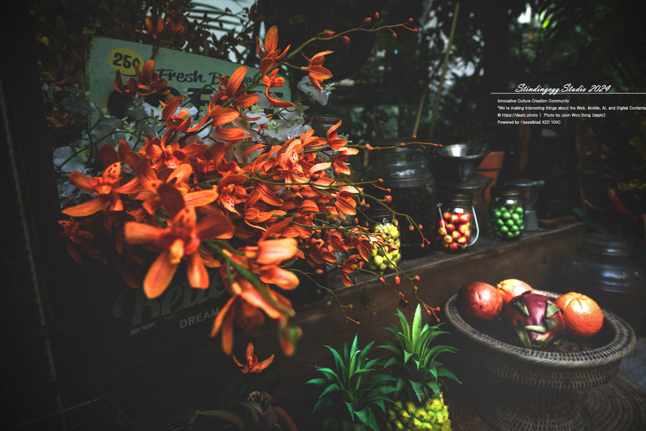 #서울 #식물원 #서울식물원 #꽃