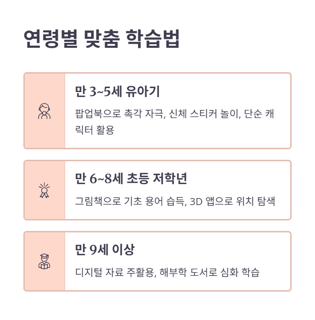 연령별 해부도 학습 가이드 및 팁
