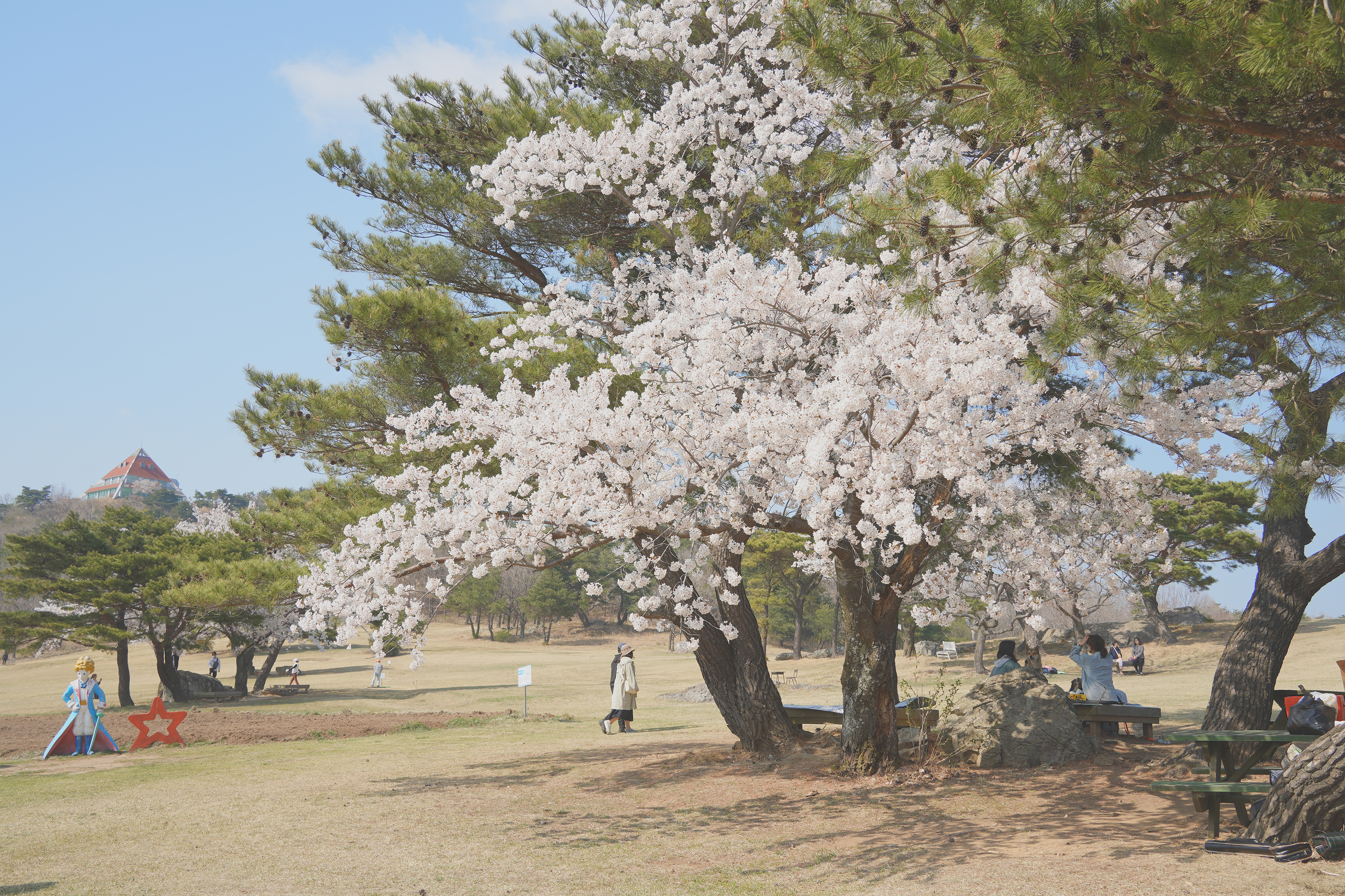 경주 화랑의 언덕 관련사진 2