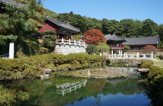 경상도 단풍 명소 TOP 7 : 2025 가을 절정 시기 &amp; 여행 코스 총정리