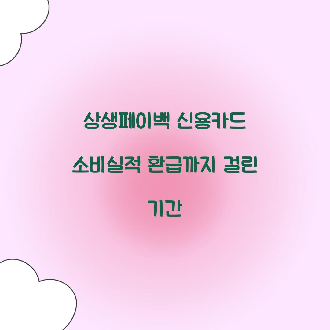 상생페이백 신용카드 소비실적 환급까지 걸린 기간