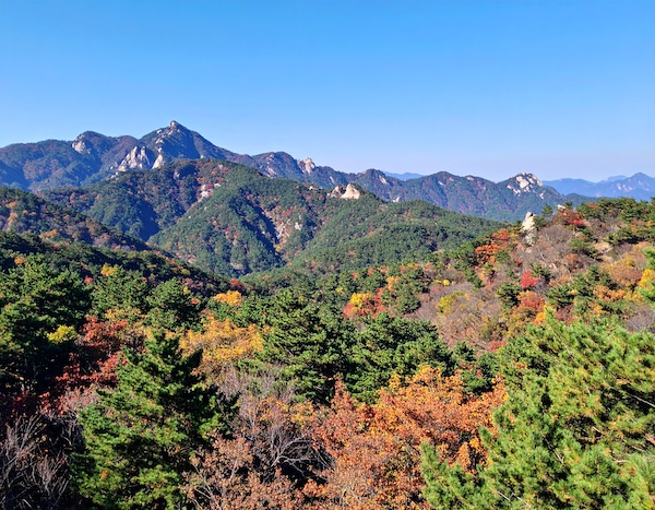 국립, 공립, 사립 자연휴양림