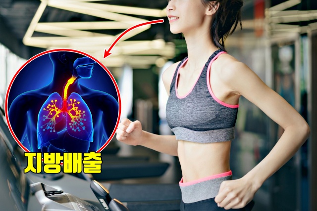 체지방 다이어트 살빠지는 운동 유산소 운동 호흡법,건강 팁줌