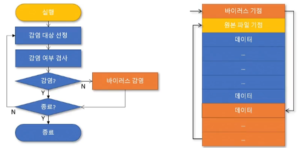감염 및 동작 원리
