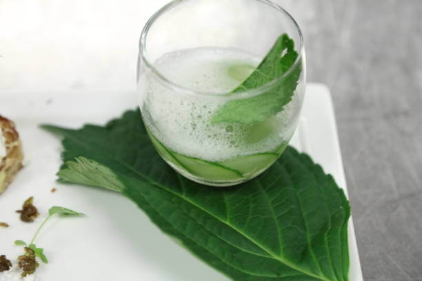 깻잎 효능 12가지와 부작용 및 하루 권장량 보관법 고르는 법