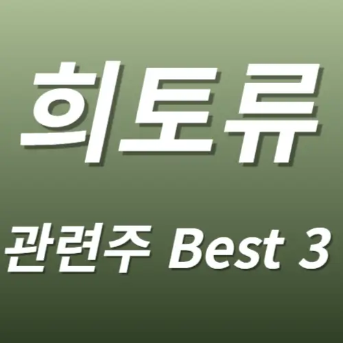 희토류 관련주 수혜주