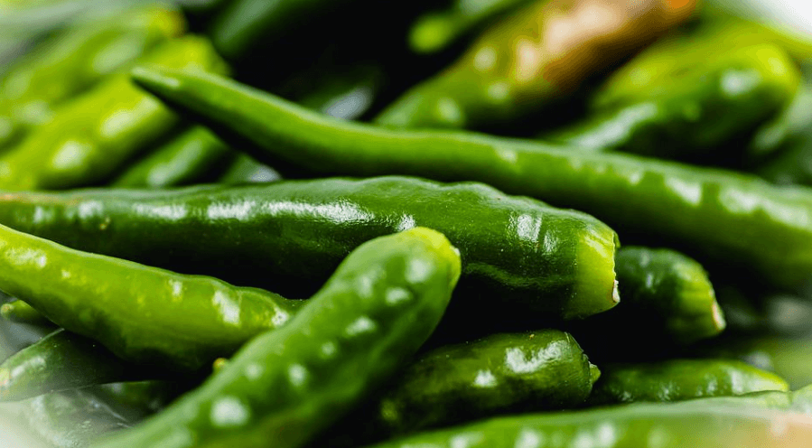 녹색 청양 고추가 한가득 담겨 있다