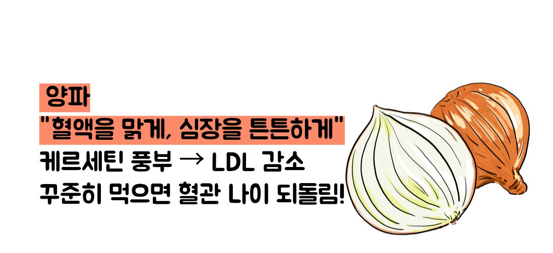 고지혈증에 좋은 음식