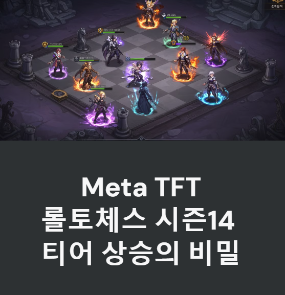 Meta TFT 롤토체스 시즌14 티어 올리는법 사용법 어플 설치 삭제 총정리