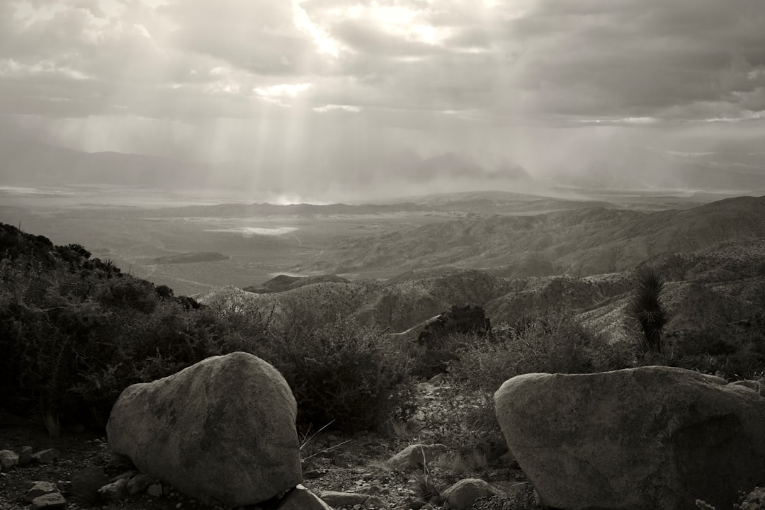 Outlook