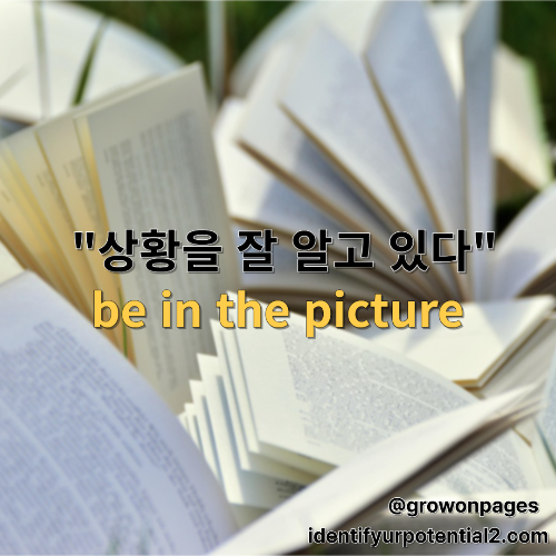be in the picture, 상황을 잘 알고 있다