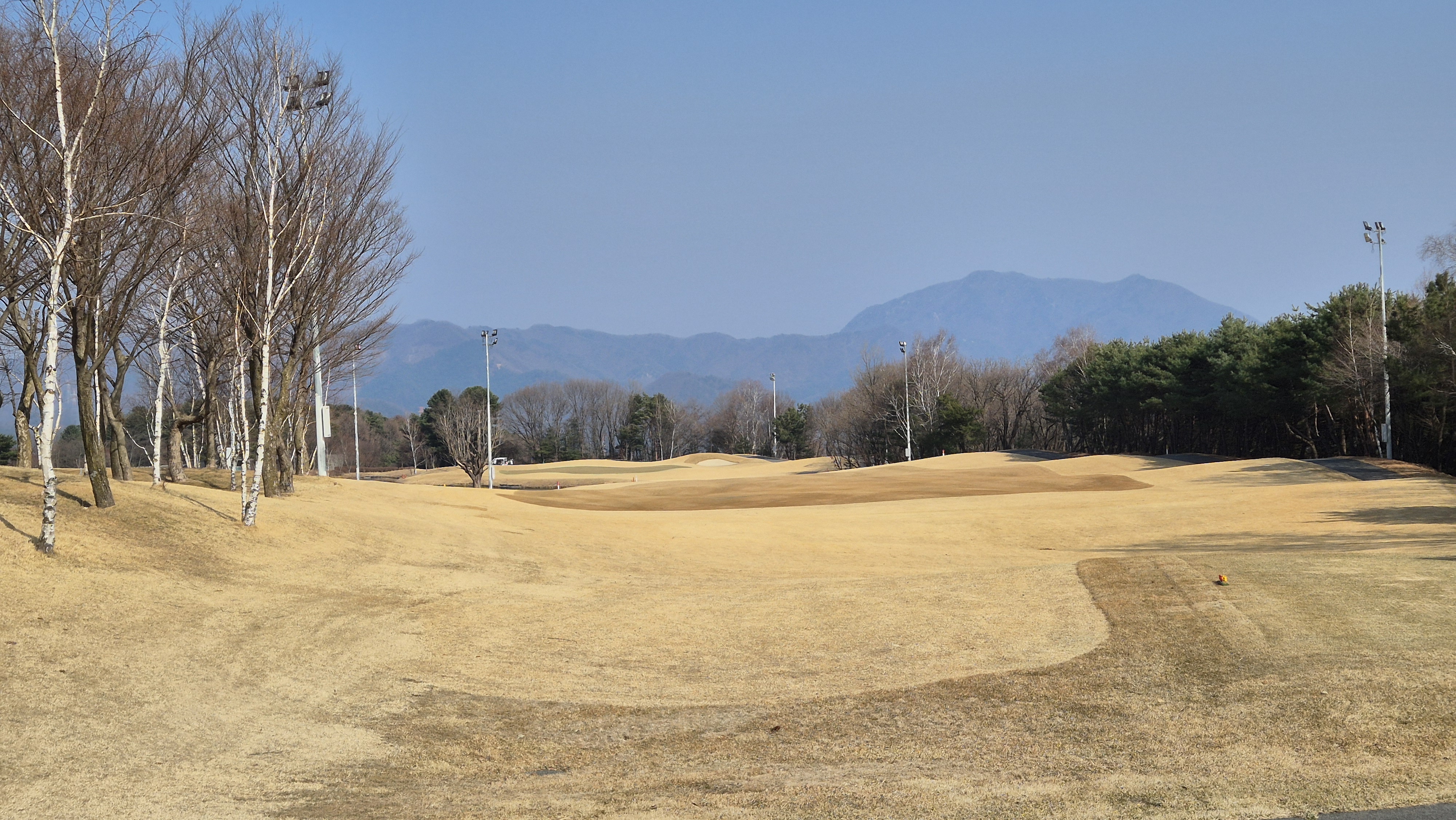 아난티코드gc 잣나무-느티나무 코스 사진 및 공략 정보