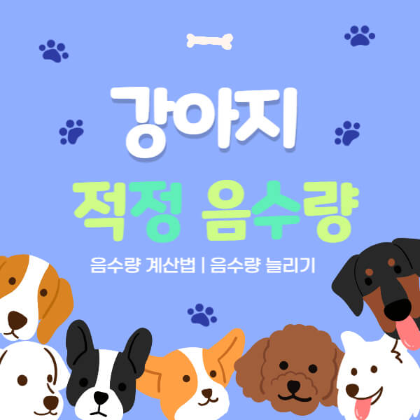 강아지_음수량_썸네일