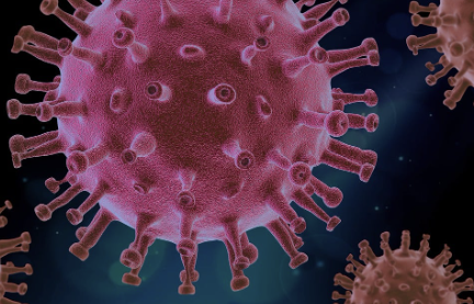 백혈구 수치가 낮은 이유 14