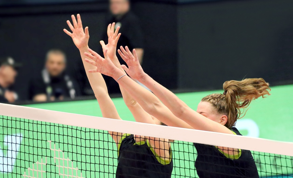 배구 경기 이미지