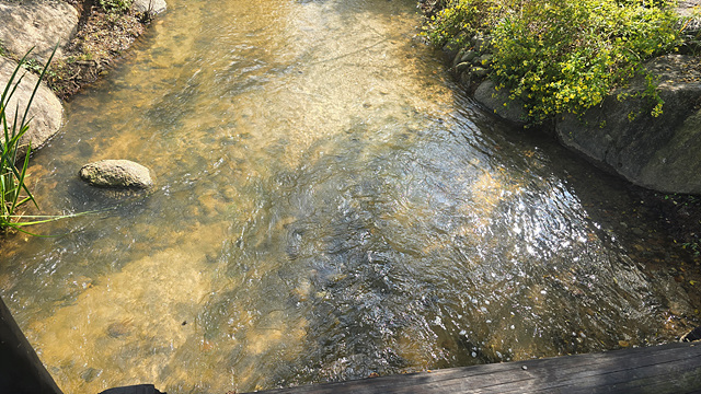 2025 순천만 국가정원 순천여행 맛집 현지인 추천 맛집 순천만 숙박