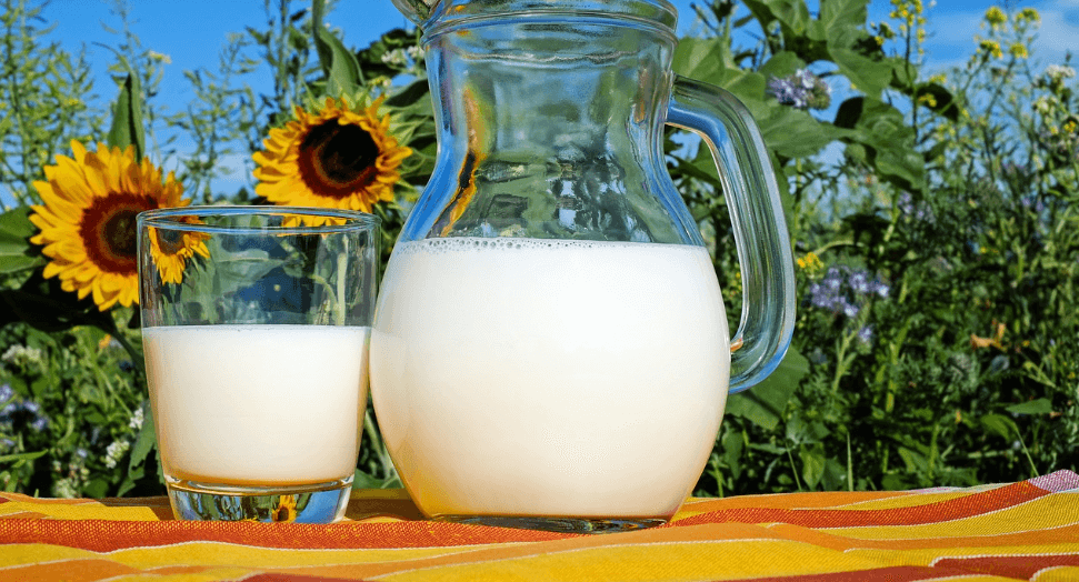 장염에 좋은 음식 사진 - 122